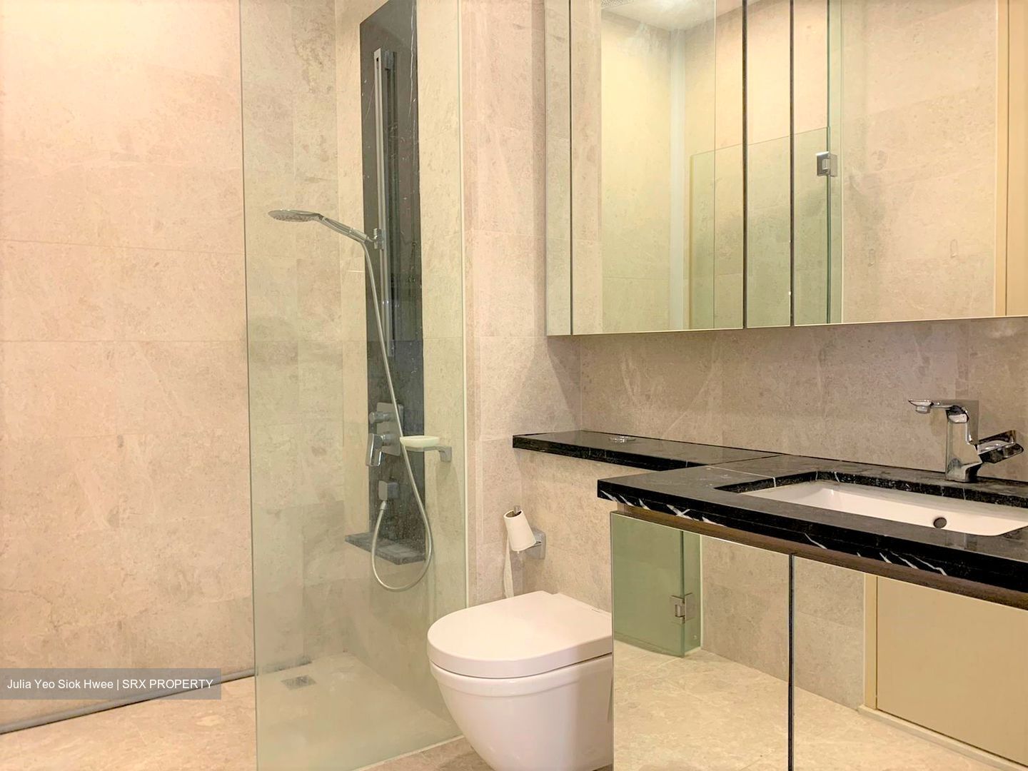 The Boutiq (D9), Apartment #454758791
